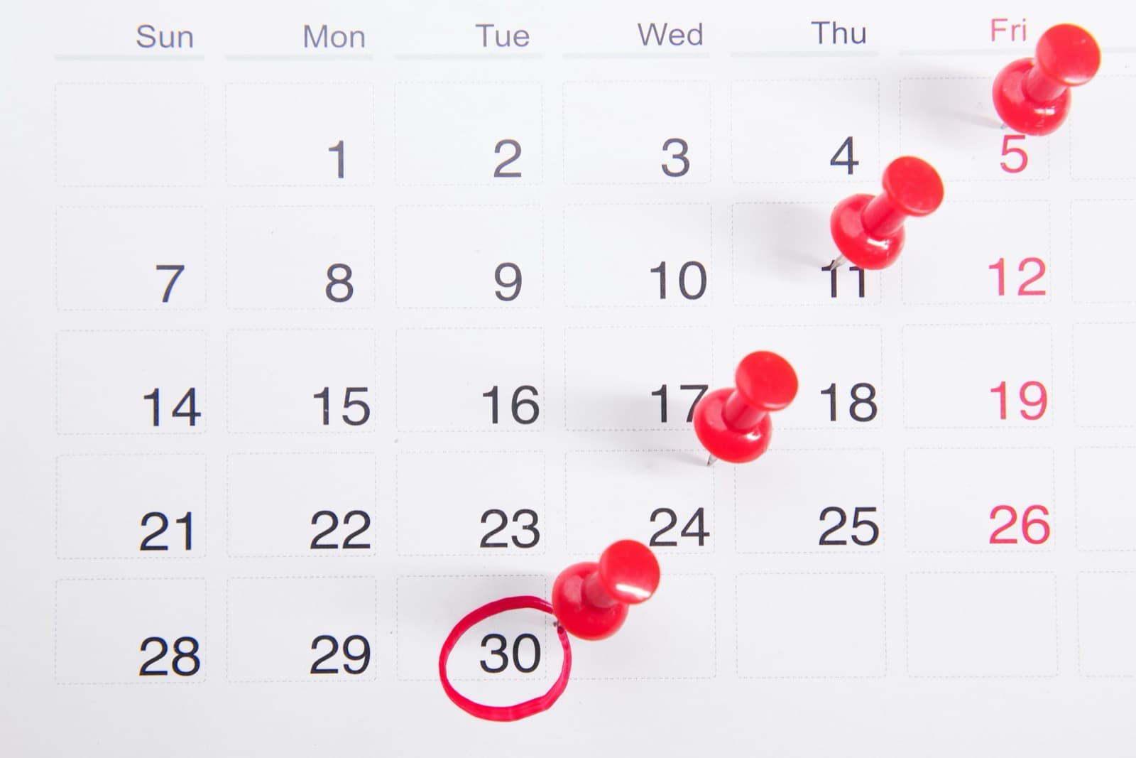 Team calendar showing leave requests and approved time off with project deadlines visible